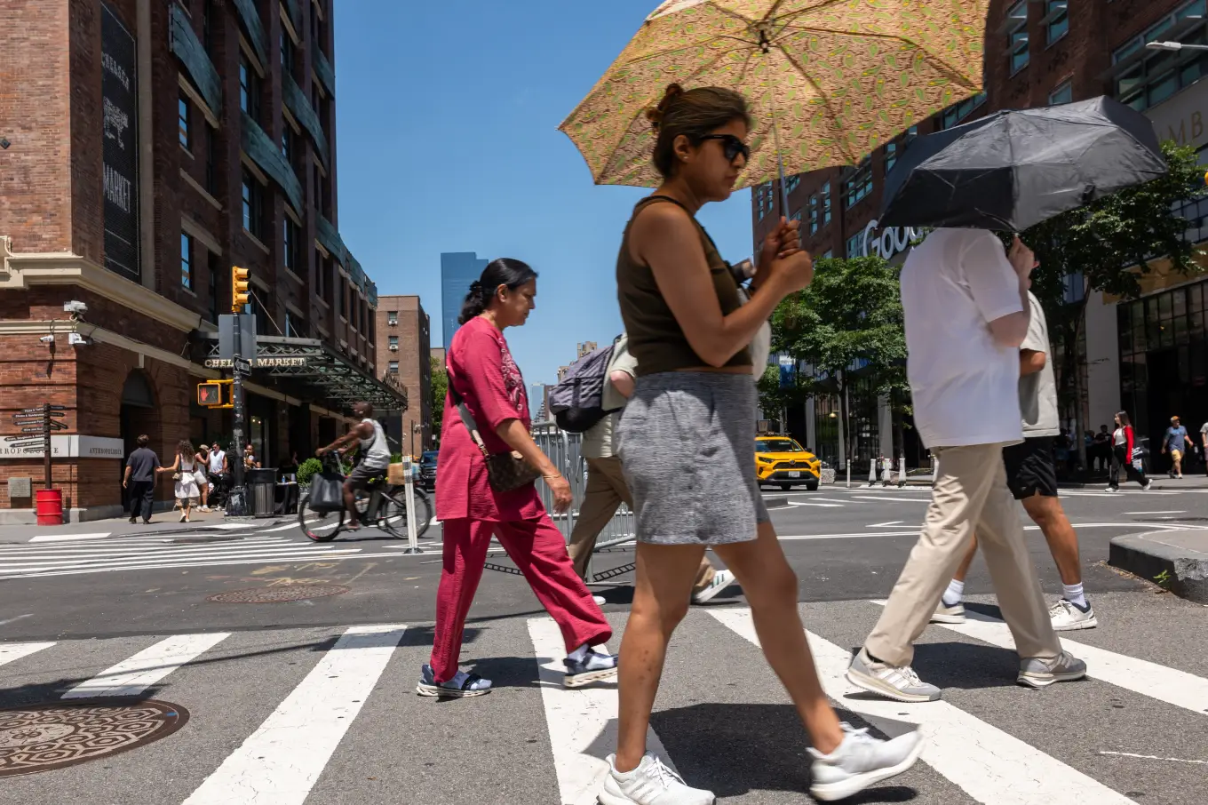 Agosto iguala recorde mundial de calor e temperatura fica 1,65°C acima do período pré-industrial